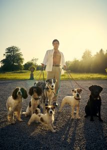 Alex Hassell as Rupert Campbell-Black, standing with the sun behind him, holding lots of dogs on leads, country estate setting. Article on Silver Magazine www.silvermagazine.co.uk
