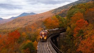 Train driving along raised train tracks amongst dense red, yellow, and green trees. Best tours of England for over 50s