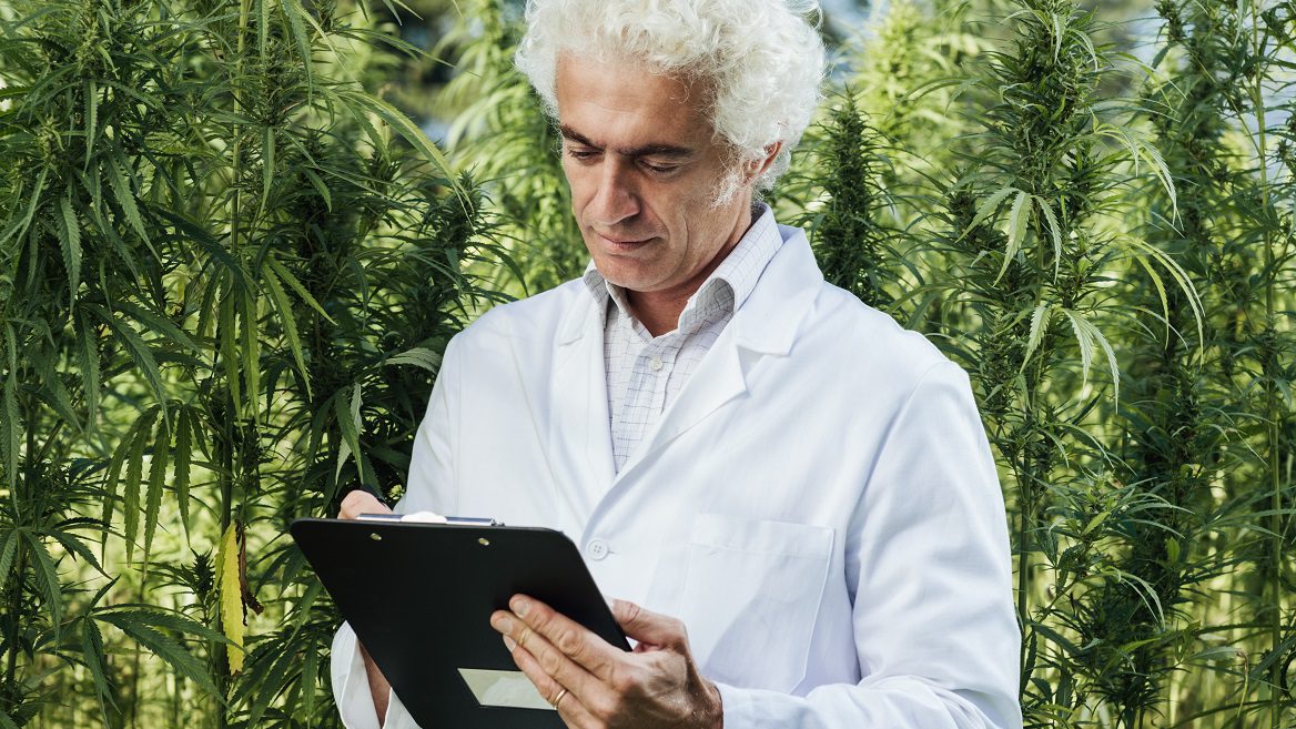 Controlled substance marijuana Silver Magazine www.silvermagazine.co.uk