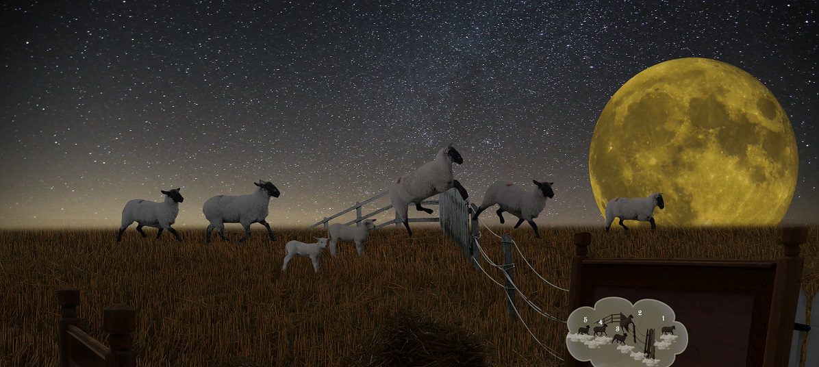 Does counting sheep help you sleep Silver Magazine www.silvermagazine.co.uk