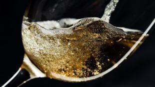 Image shows glass of sparkling wine being poured against a black background