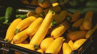 Basket of courgettes. courgette recipes for Silver Magazine www.silvermagazine.co.uk
