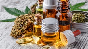 Green leaves of medicinal cannabis with extract oil. Medical marijuana flower buds. Hemp buds - medical marijuana concept. Health benefits of medical cannabis - Silver Magazine www.silvermagazine.co.uk