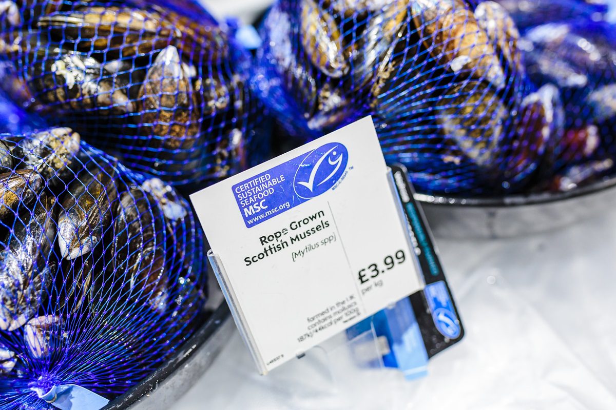 image shows bags of mussells on a bed of ice clearly from a shop layout, with the sign in front displaying the MSC logo