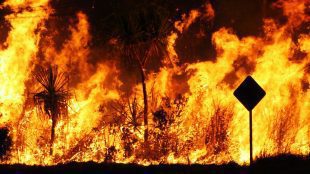 How you can help the bushfires Silver Magazine www.silvermagazine.co.uk