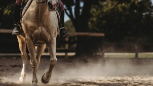 Horse being ridden - Horse Riding as exercise article. Silver Magazine www.silvermagazine.co.uk