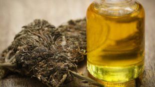 medical marijuana Silver Magazine www.silvermagazine.co.uk