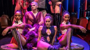 An image of a group of performers in skimpy outfits. They are posed on a small circular stage.