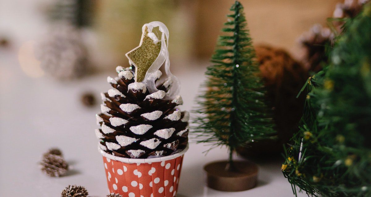 The most eco-friendly christmas tree options this festive season on Silver - www.silvermagazine.co.uk