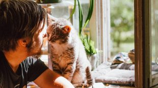 Man sits next to cat where their faces are close together in front of a window. How to communicate with cat on Silver