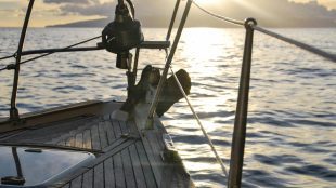 sailing boat in the sea at sunset