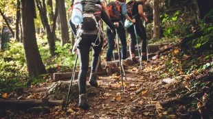 Group of friends with backpacks hiking together and climbing in forest. The health benefits of hiking article Silver Magazine www.silvermagazine.co.uk