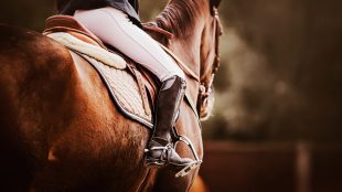 Rear view of a bay horse with a rider in a leather saddle. Equestrian sports. Horse riding. 5 unique hobbies to stay active article Silver Magazine www.silvermagazine.co.uk