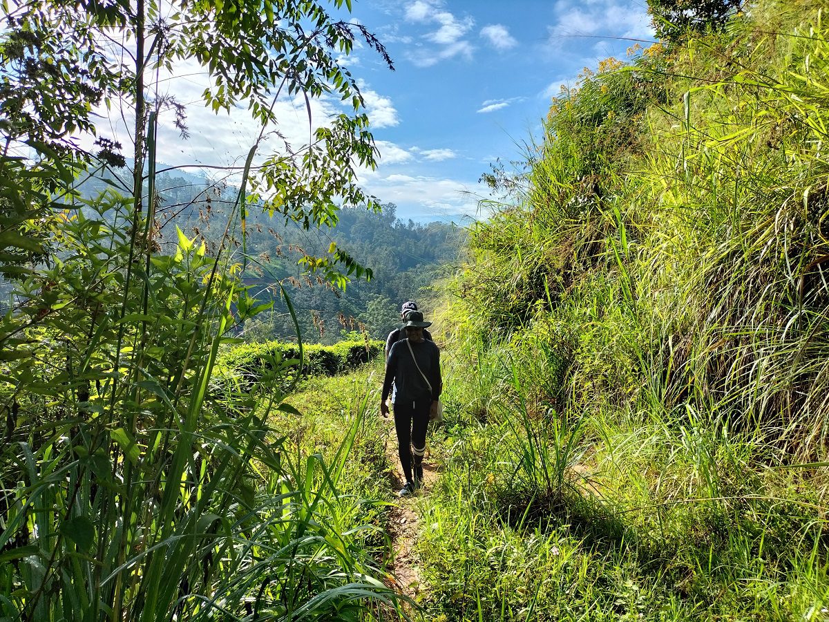 Trekking the Pekoe tea trader trail in Sri Lanka - article on Silver Magazine www.silvermagazine.co.uk