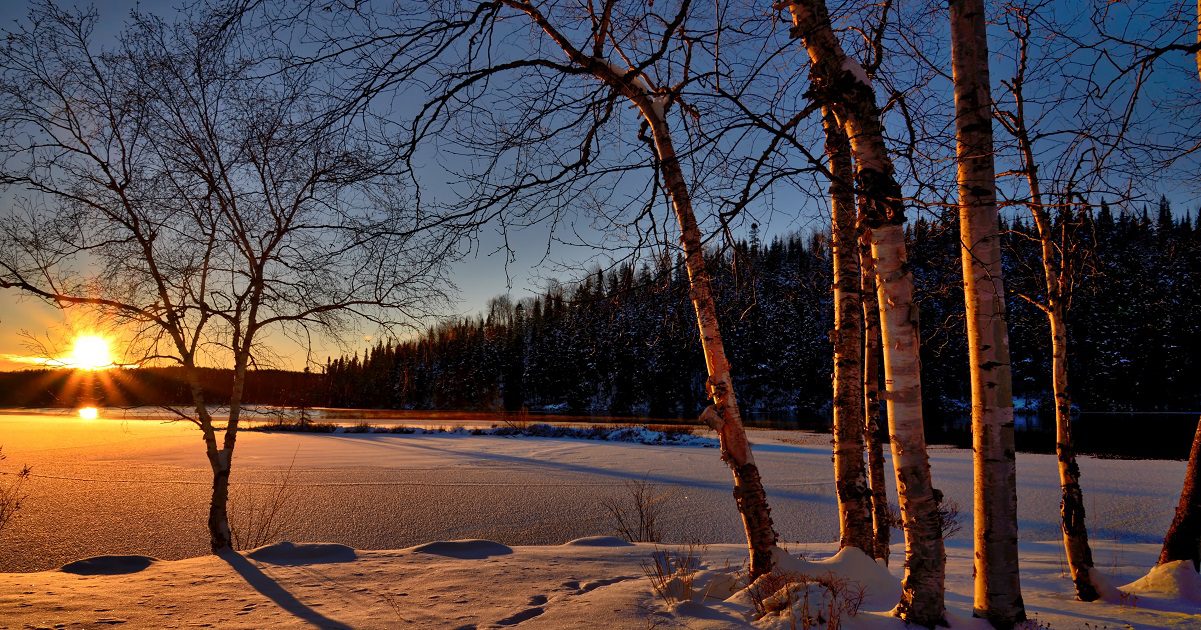 Winter sun for Silver Magazine www.silvermagazine.co.uk