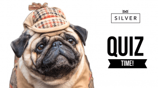 Silver Magazine quiz gen knowledge 1 www.silvermagazine.co.uk